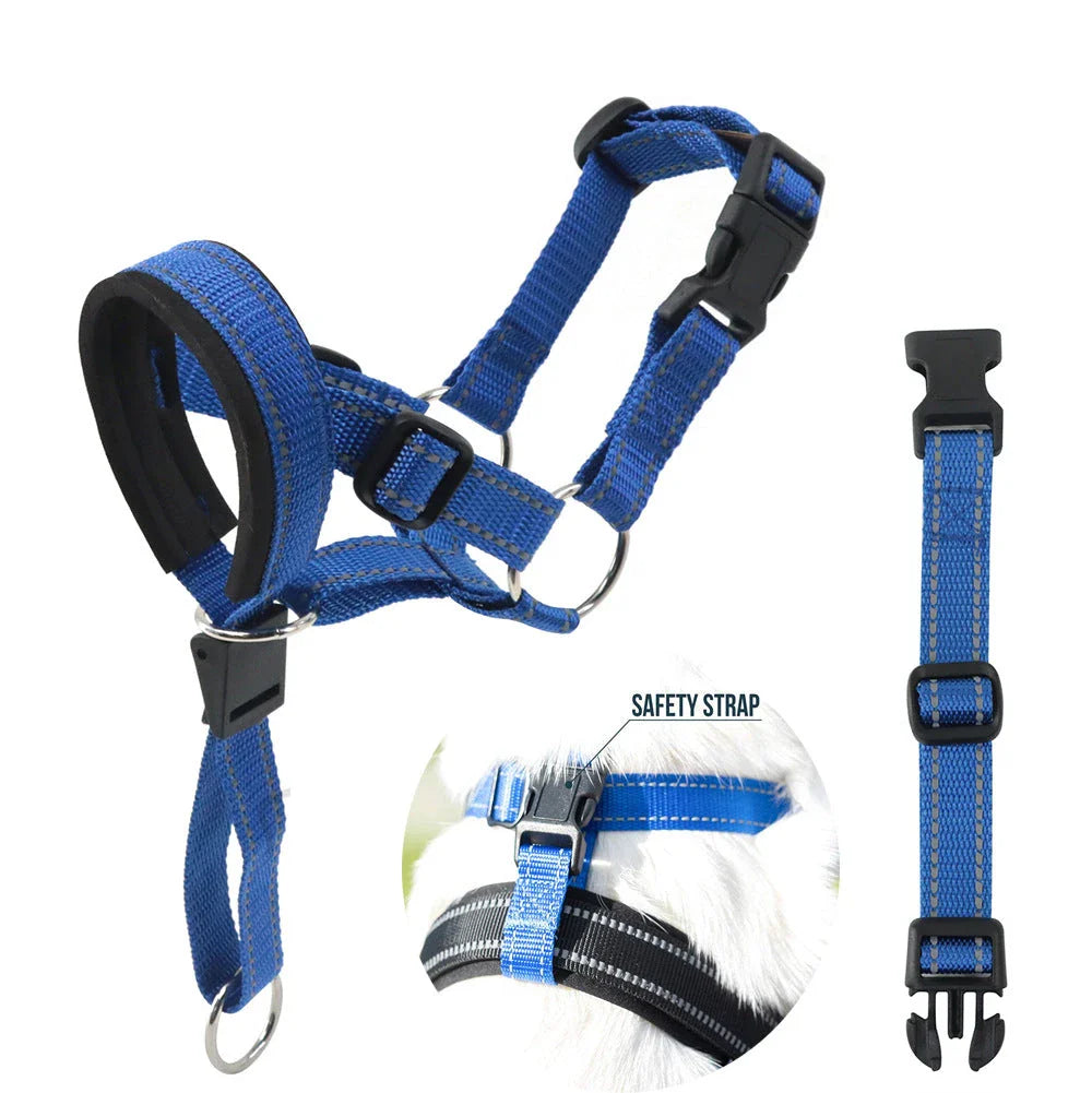 Reflective nylon dog muzzle and leash set in orange colour, designed for safe and controlled walks with your canine companion