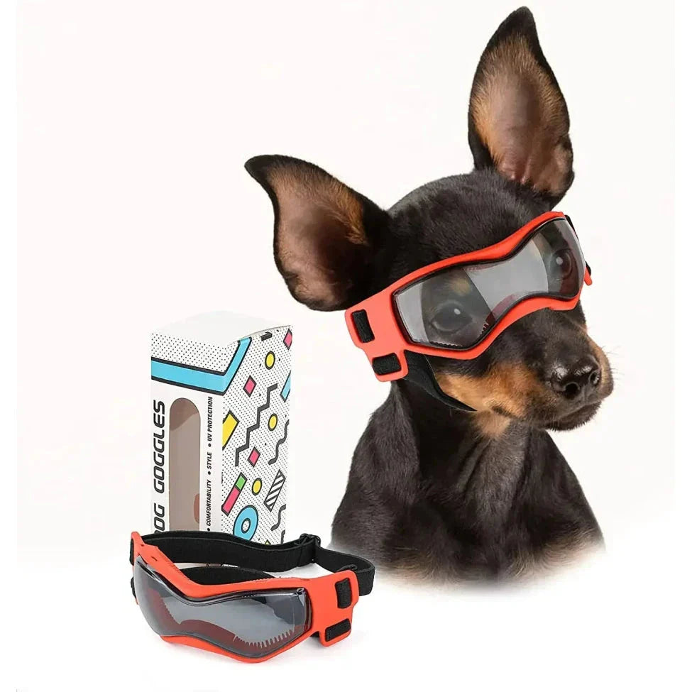 Small orange dog goggles with adjustable elastic straps and UV-blocking polycarbonate lenses