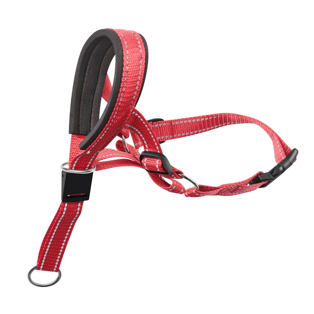 Reflective nylon dog muzzle and leash set in orange colour, designed for safe and controlled walks with your canine companion