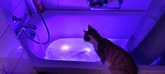 Submersible colour-changing LED pool lights with magnetic and suction cup mounting for easy installation