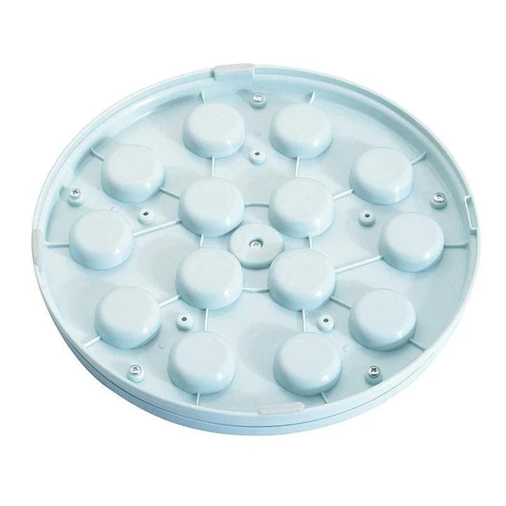 Puzzled Interactive Feeding Bowl for Dogs - Durable Polypropylene Bowl with Puzzle Design to Promote Foraging and Mental Stimulation