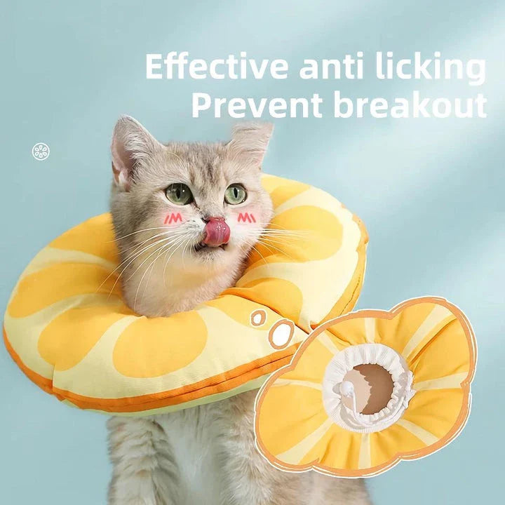 A vibrant orange fruit-shaped recovery collar for cats, designed to protect and comfort your pet during their healing process.