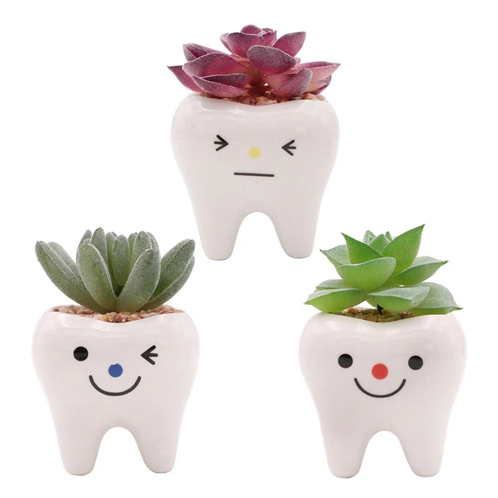 Charming ceramic tooth-shaped planter in white with glossy finish, perfect for succulents and cacti