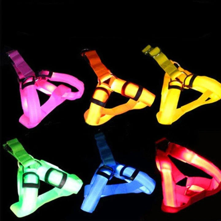 Luminous dog harness with orange colour and adjustable size options for dogs