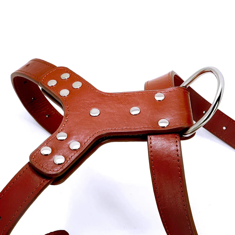 Premium genuine leather dog harness with a charming bowknot accessory, designed for medium to large breed dogs