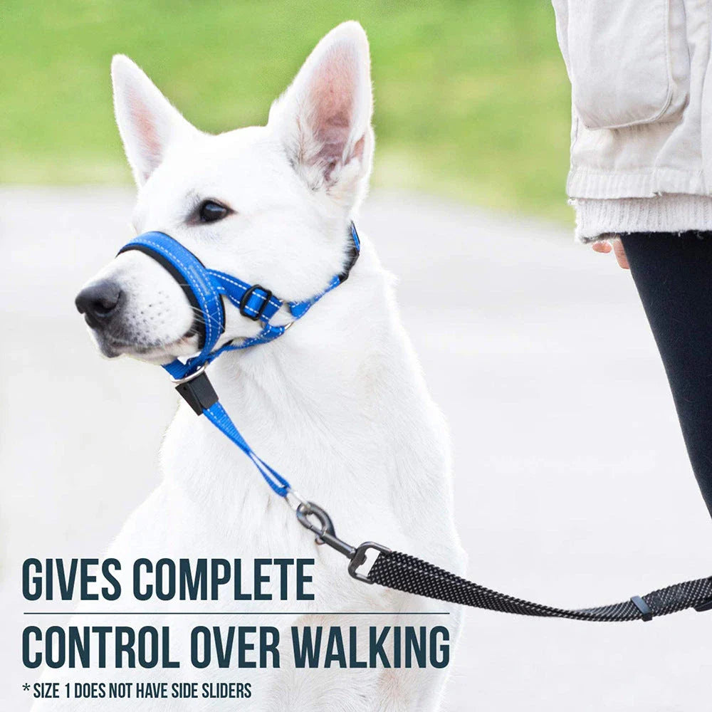 Reflective nylon dog muzzle and leash set in orange colour, designed for safe and controlled walks with your canine companion