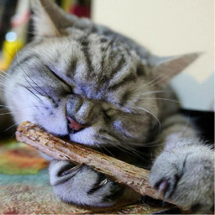 GiftHome UK Premium Catnip Dental Hygiene Treats for Cats - 15/20 Piece Set