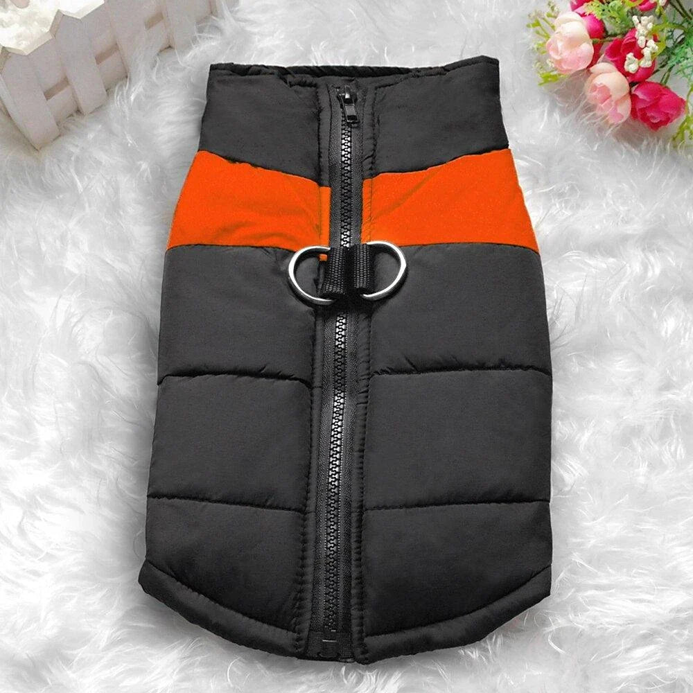Premium waterproof dog vest with zippered closure, designed to keep your canine companion warm and dry during British autumn and winter adventures.