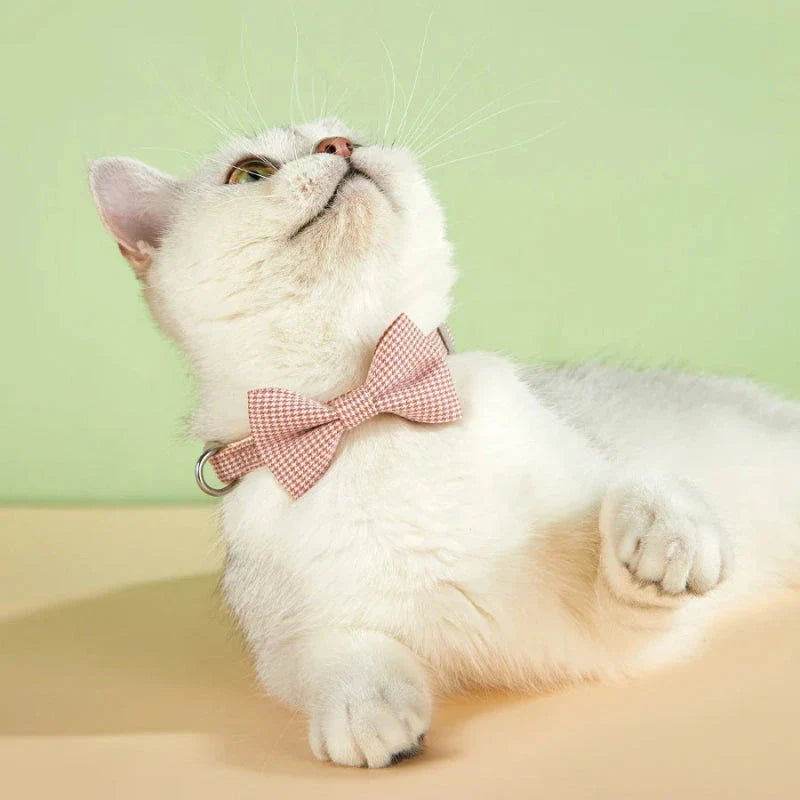 Stylish checkered pet collar with elegant butterfly knot decoration, perfect for dressing up cats and dogs