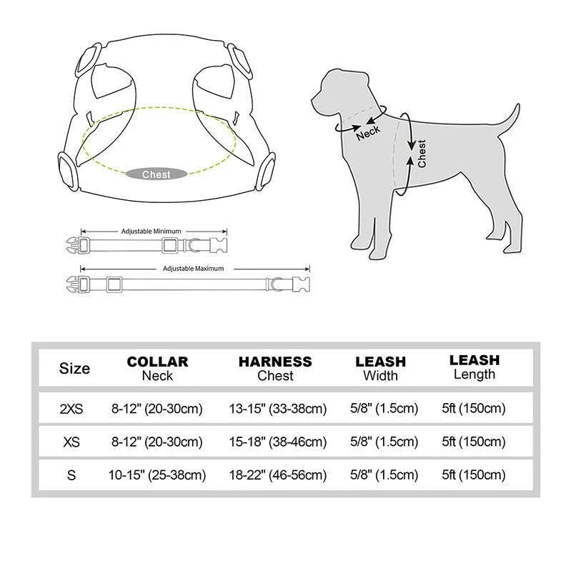 Adjustable bowtie collar, leash, and harness set for small and medium-sized pets in blue, green, pink, and red colours