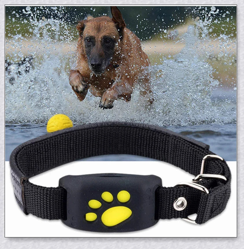 Premium GPS Cat Collar with real-time location tracking, waterproof design, and 'Geofence' safety features to safeguard your cat