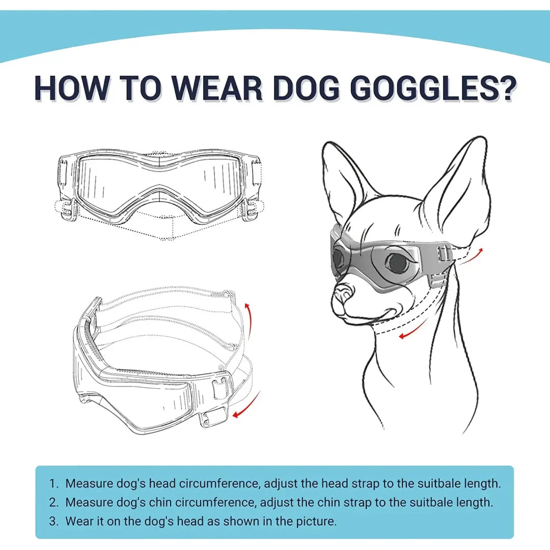 Small orange dog goggles with adjustable elastic straps and UV-blocking polycarbonate lenses