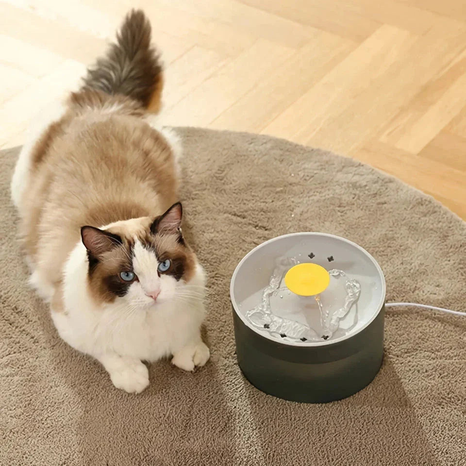 Madden Premium Automatic Pet Water Dispenser with smart circulation system for cats and dogs
