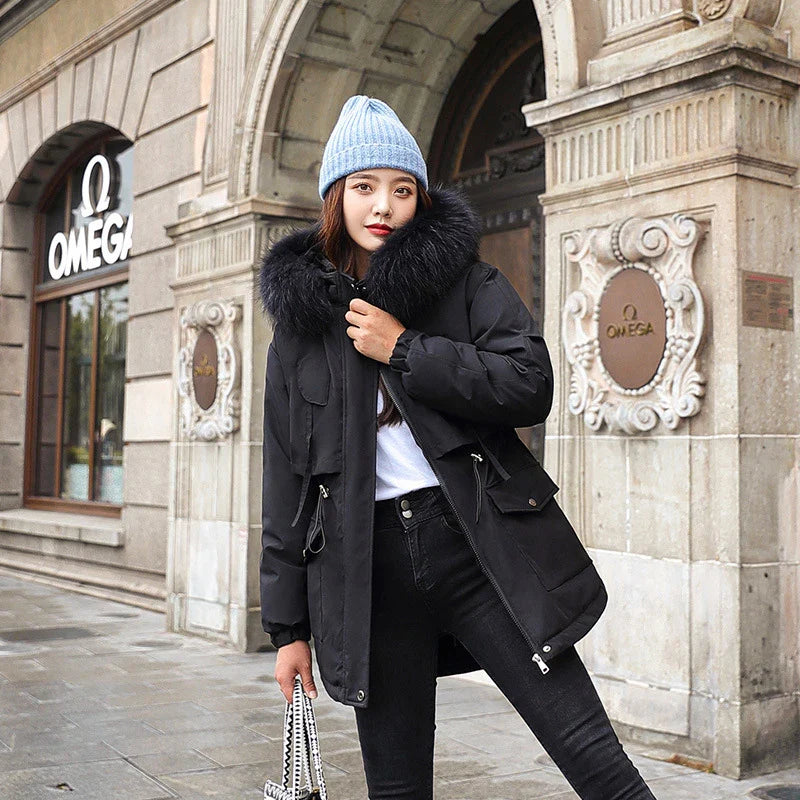 Premium down-filled jacket in black colour, featuring a hooded design and zipper closure for warmth and style.