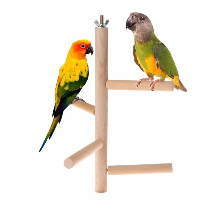 A premium 4-tier wooden bird perch with a sturdy and modern design, providing ample resting space and comfort for your feathered companions.