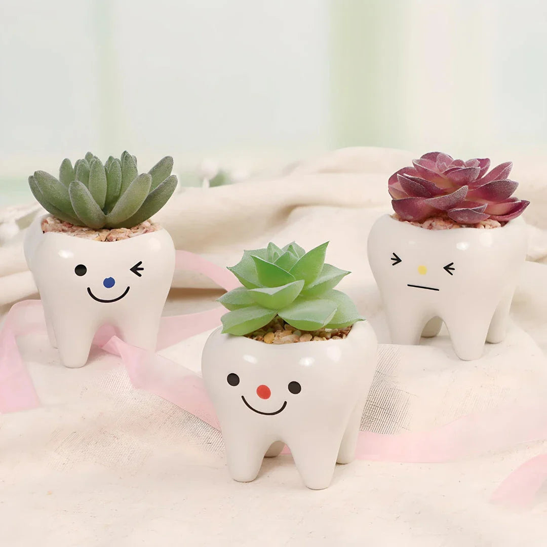 Charming ceramic tooth-shaped planter in white with glossy finish, perfect for succulents and cacti