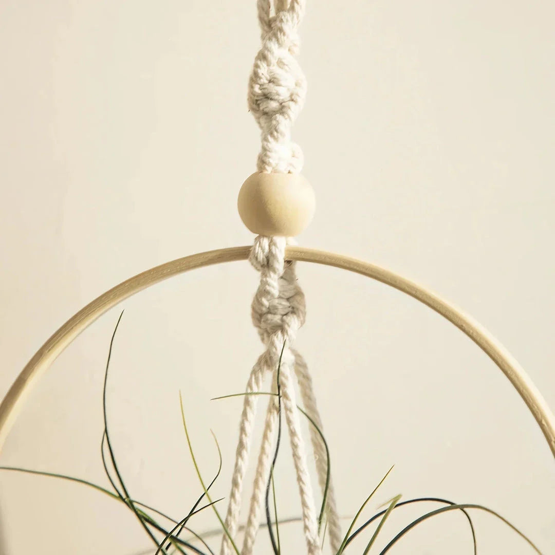 A macrame air plant hanging holder with a chic, boho-inspired design, perfect for adding organic texture and soothing vibes to any room.