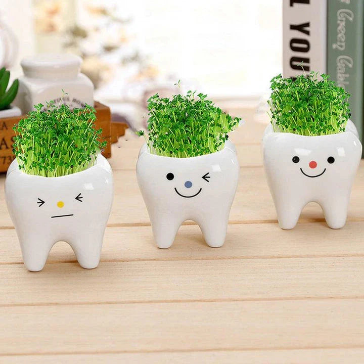 Charming ceramic tooth-shaped planter in white with glossy finish, perfect for succulents and cacti