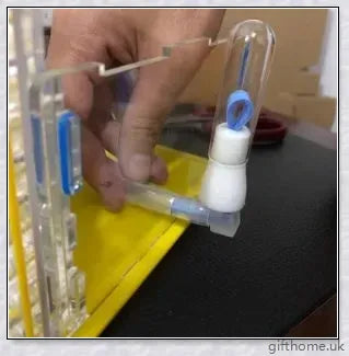 Ant Farm Nest: a captivating DIY project that allows you to observe ants constructing their intricate tunnels and nurturing their young