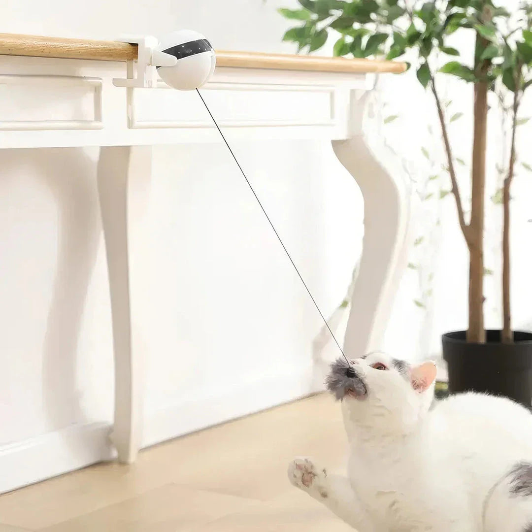 Electric automatic lifting cat ball toy in grey, white, and black colours, designed to captivate and entertain cats with its engaging puzzle features.