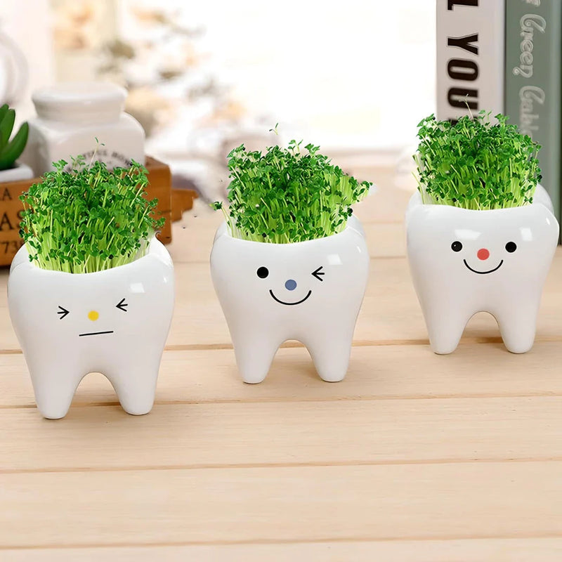GiftHome UK Charming Ceramic Tooth-Shaped Planter for Succulents and Cacti