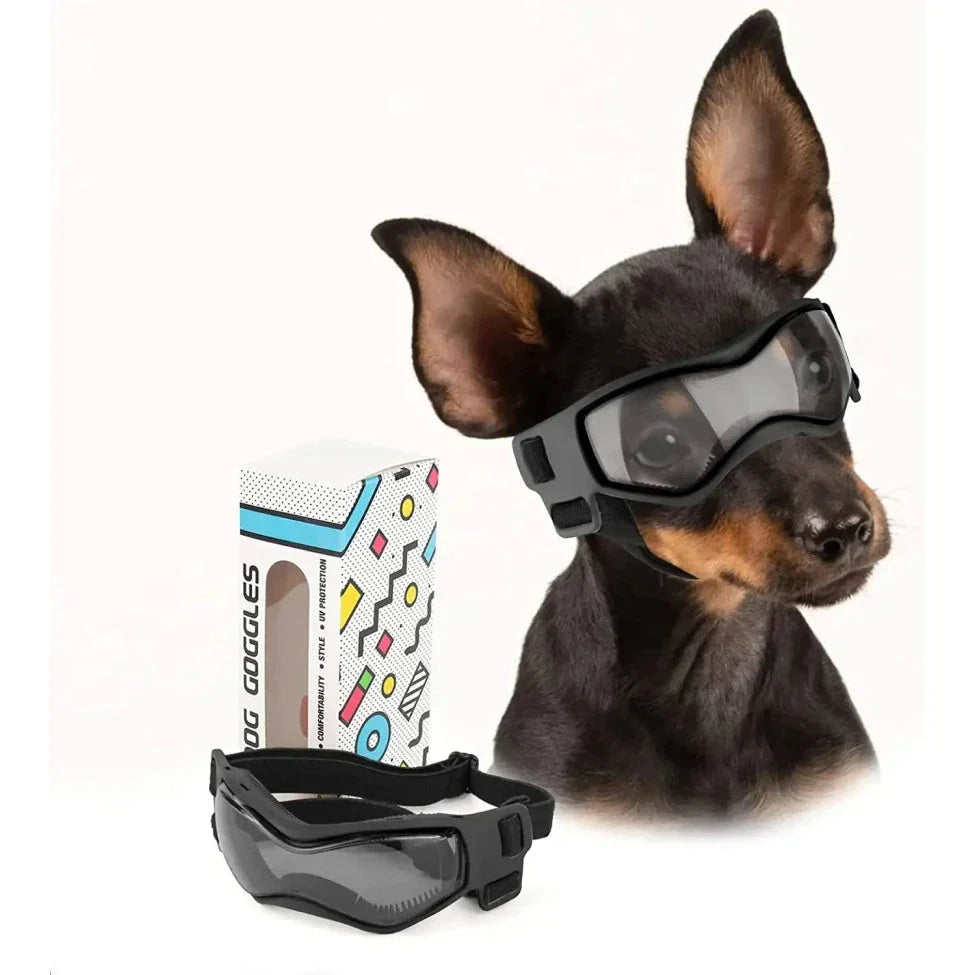 Small orange dog goggles with adjustable elastic straps and UV-blocking polycarbonate lenses
