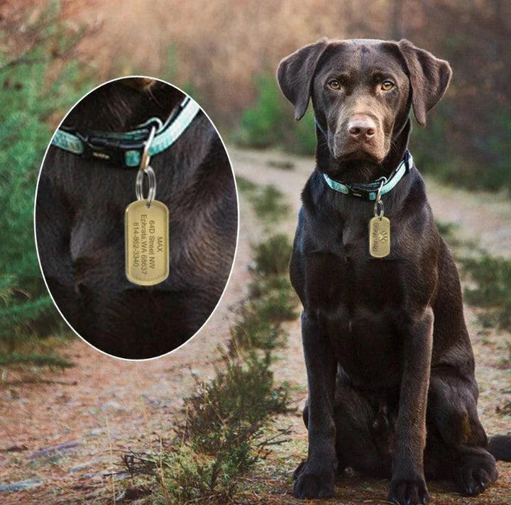 Vintage-style personalized pet ID tag made from durable metal, featuring engraved text for customization and a classic design.