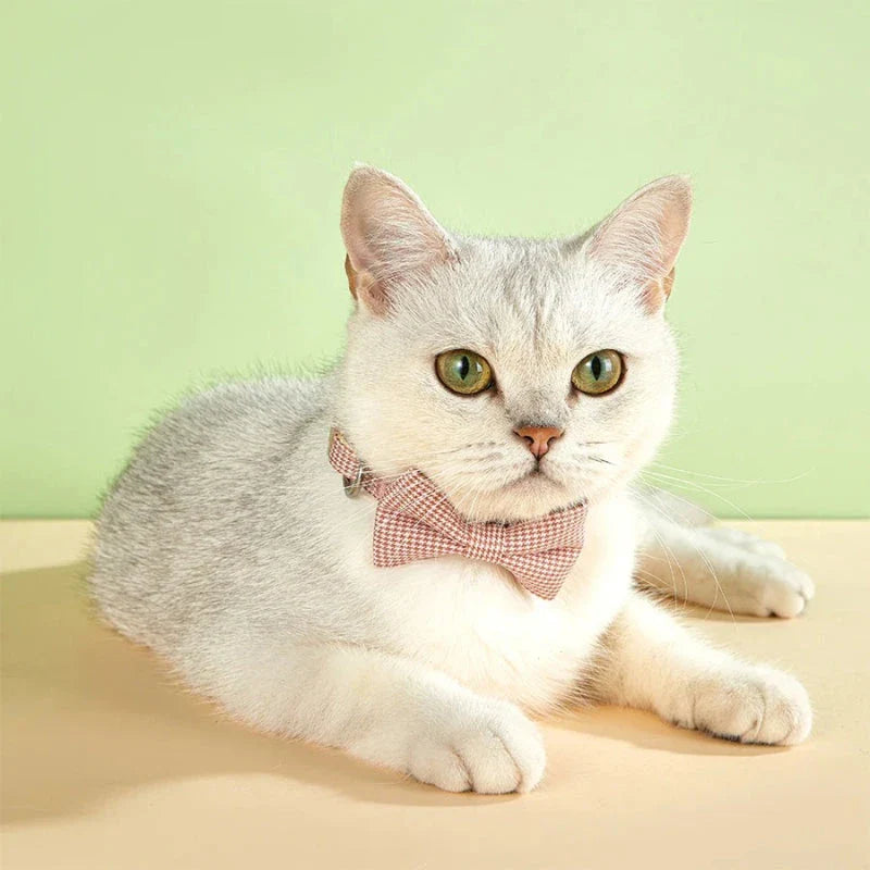 Stylish checkered pet collar with elegant butterfly knot decoration, perfect for dressing up cats and dogs