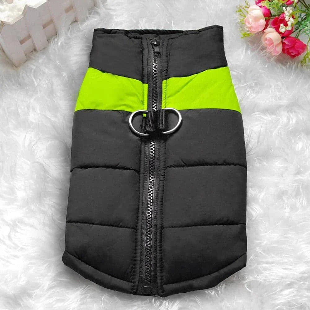 Premium waterproof dog vest with zippered closure, designed to keep your canine companion warm and dry during British autumn and winter adventures.