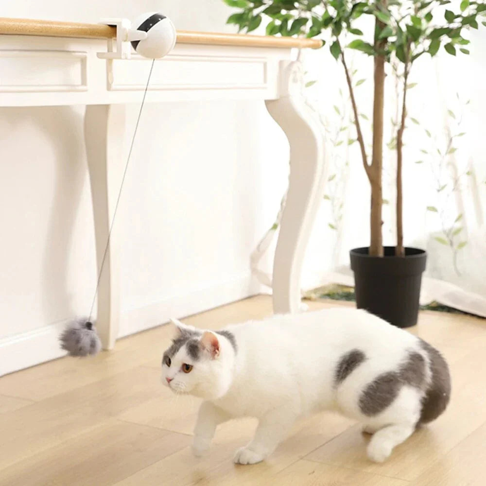 Electric automatic lifting cat ball toy in grey, white, and black colours, designed to captivate and entertain cats with its engaging puzzle features.