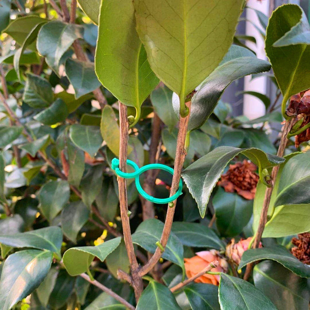 Premium Garden Vine Strapping Clips for plant support and healthy growth