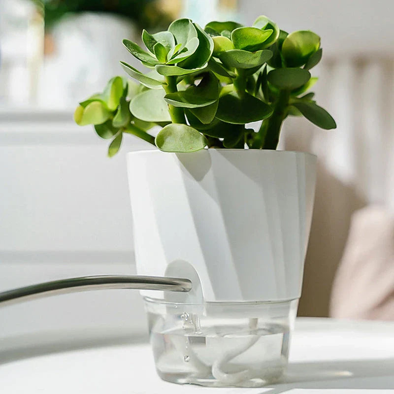 Stylish self-watering transparent planter with water level indicator and lush plant growth