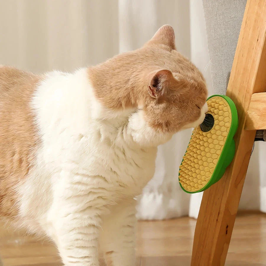Cosy cat self-grooming brush with catnip compartment, made of eco-friendly ABS plastic and soft TPE rubber bristles