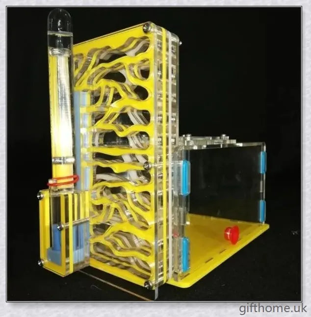 Ant Farm Nest: a captivating DIY project that allows you to observe ants constructing their intricate tunnels and nurturing their young