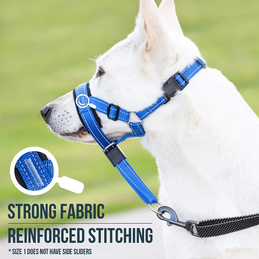 Reflective nylon dog muzzle and leash set in orange colour, designed for safe and controlled walks with your canine companion