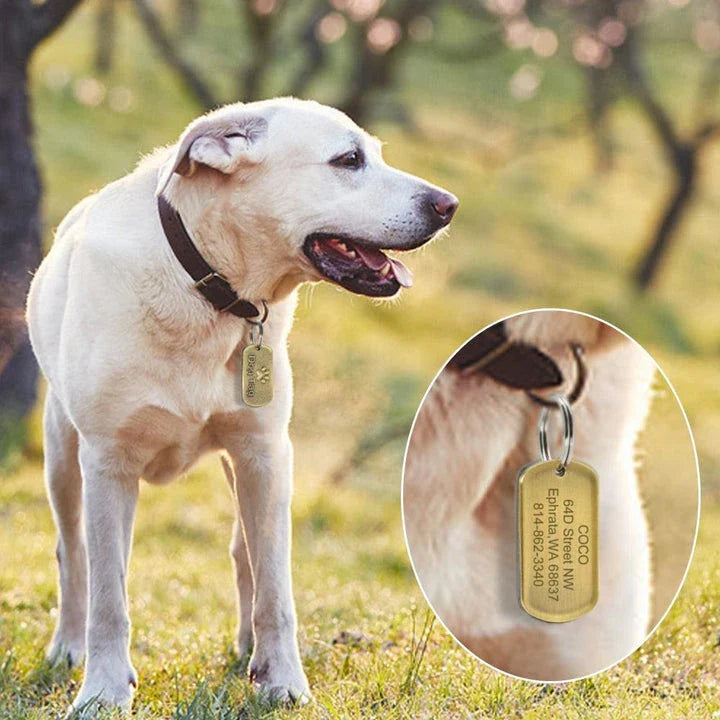 Vintage-style personalized pet ID tag made from durable metal, featuring engraved text for customization and a classic design.