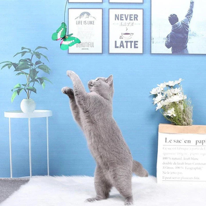 GiftHome UK Delightful Butterfly Toy for Playful Feline Companions