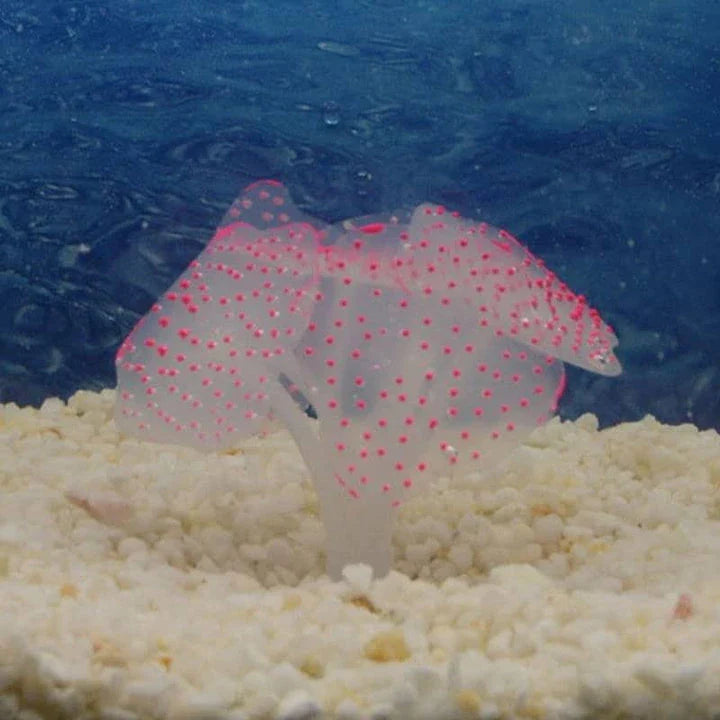 Vibrant artificial coral plant with suction cup base, perfect for UK aquariums and home decor