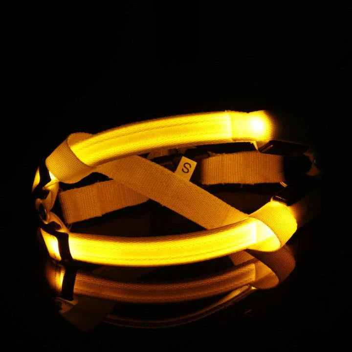 Luminous dog harness with orange colour and adjustable size options for dogs