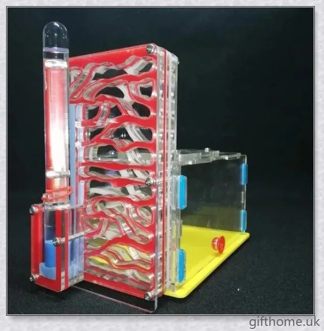 Ant Farm Nest: a captivating DIY project that allows you to observe ants constructing their intricate tunnels and nurturing their young