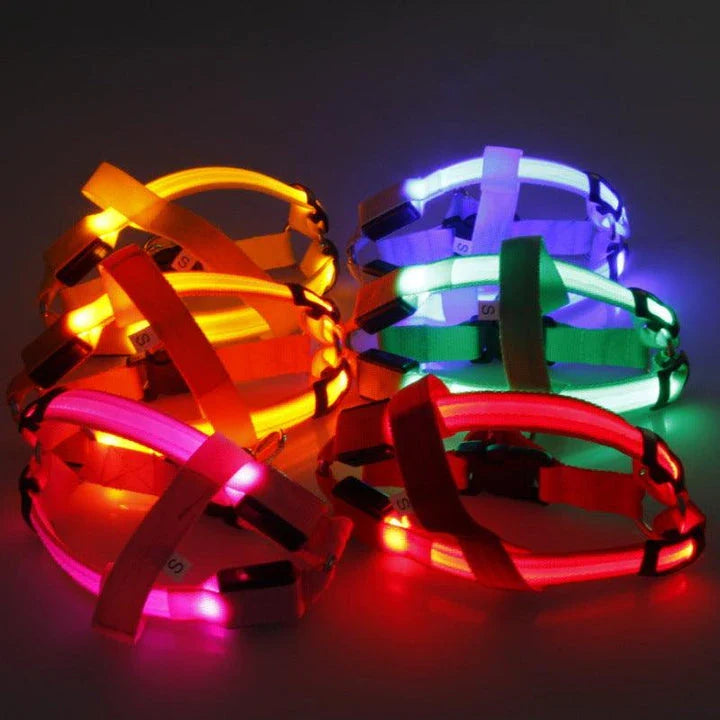 Luminous dog harness with orange colour and adjustable size options for dogs