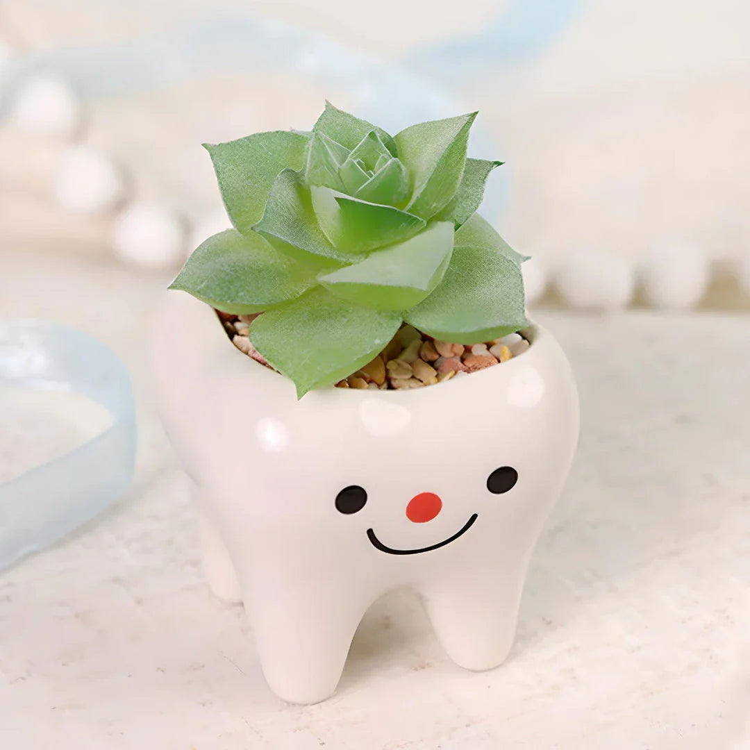 Charming ceramic tooth-shaped planter in white with glossy finish, perfect for succulents and cacti