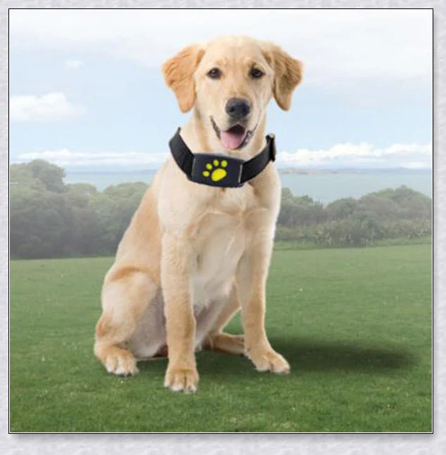 Premium GPS Cat Collar with real-time location tracking, waterproof design, and 'Geofence' safety features to safeguard your cat