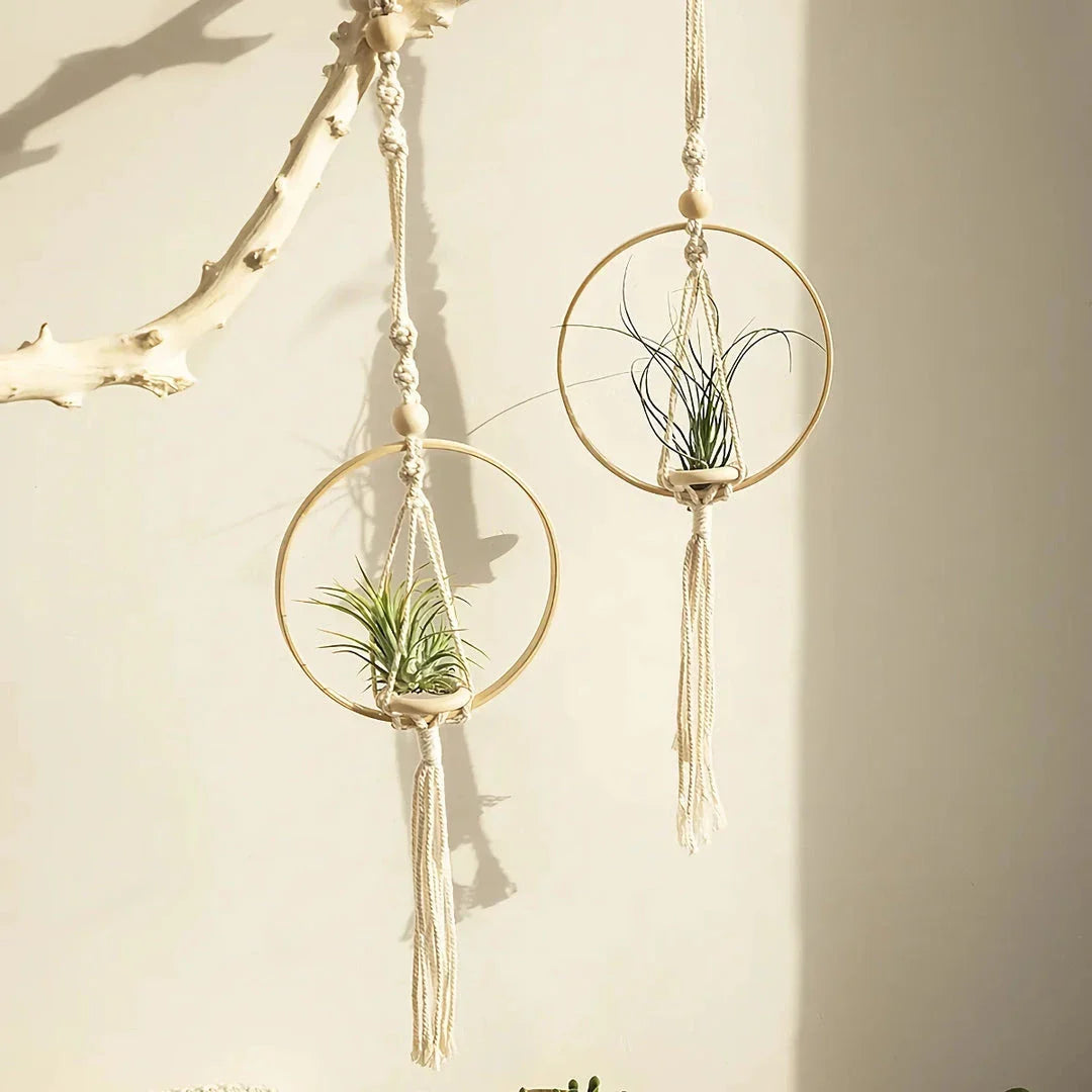 A macrame air plant hanging holder with a chic, boho-inspired design, perfect for adding organic texture and soothing vibes to any room.