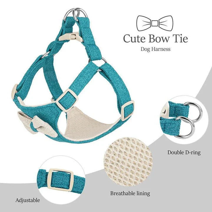 Adjustable bowtie collar, leash, and harness set for small and medium-sized pets in blue, green, pink, and red colours