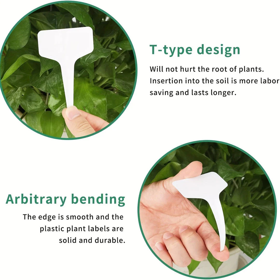 A set of 50 biodegradable paper nursery pots and plant labels for sustainable gardening