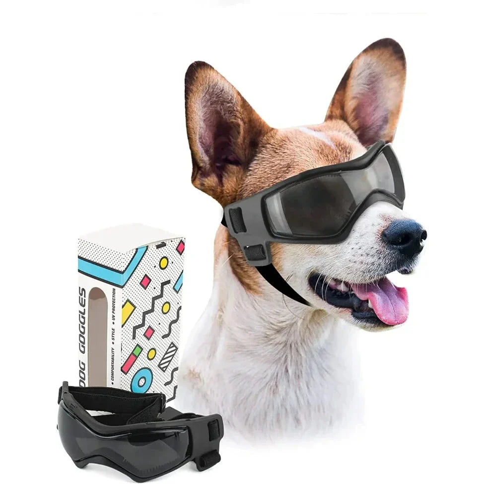Small orange dog goggles with adjustable elastic straps and UV-blocking polycarbonate lenses