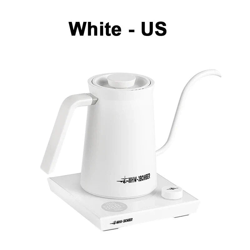 A stainless steel electric gooseneck kettle with precise temperature control and an elegant design, perfect for hand-brewing coffee at home.