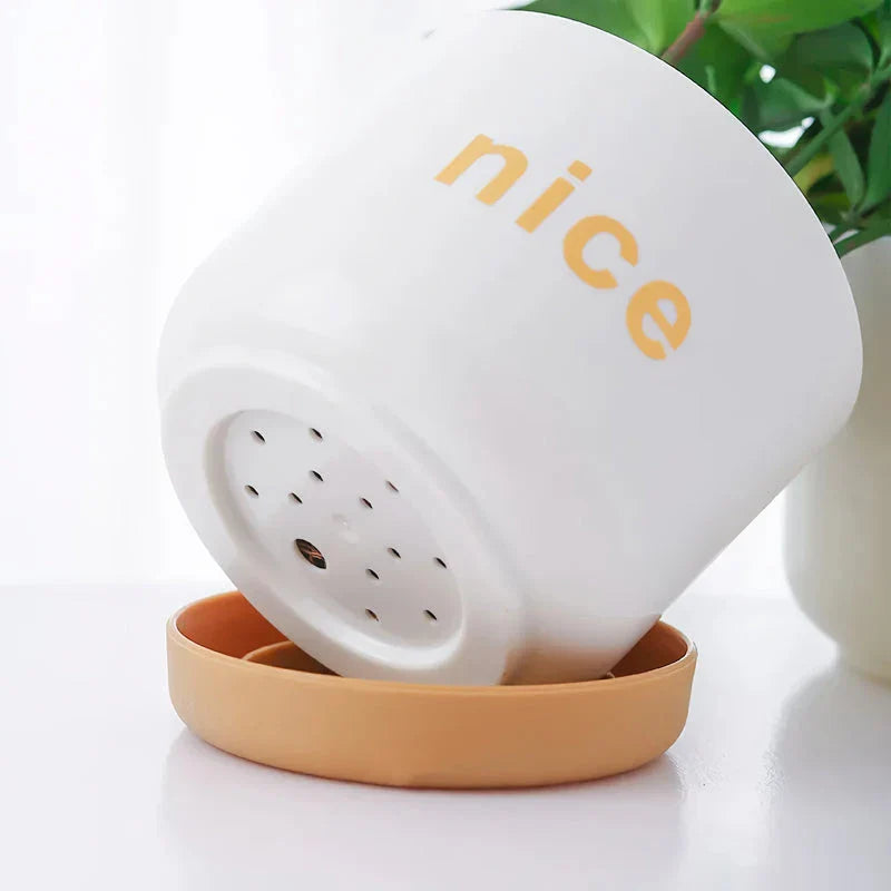 Stylish self-watering planters in various sizes for indoor plants, succulents, and flowers