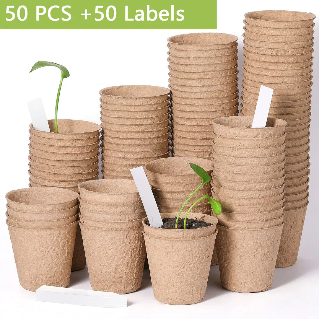 A set of 50 biodegradable paper nursery pots and plant labels for sustainable gardening
